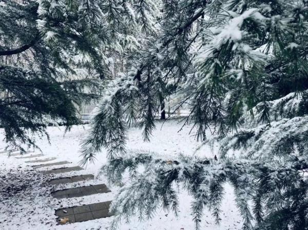 大雪到货!山东7市已现中到大雪局部暴雪 部分地区将达暴雪量级