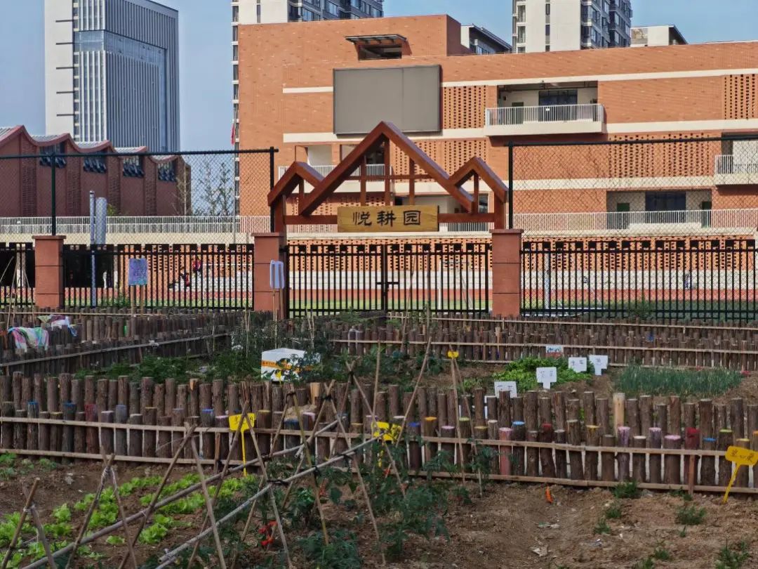 “悦耕园”。包河区网格化管理中心供图