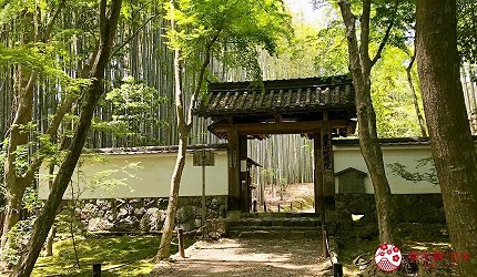 京都景点推荐竹林寺照片