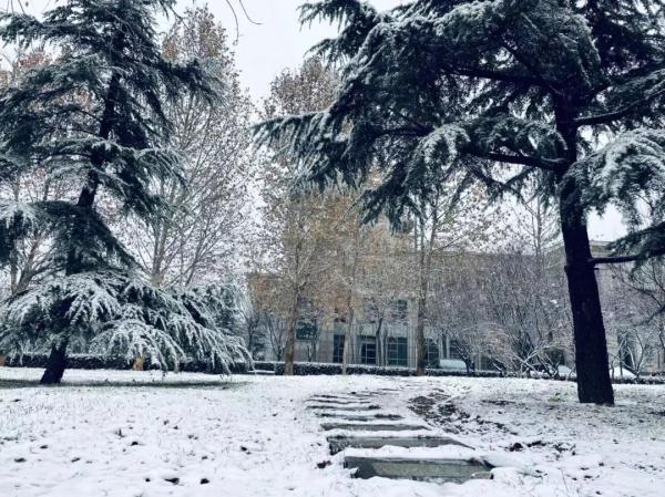 大雪到货!山东7市已现中到大雪局部暴雪 部分地区将达暴雪量级