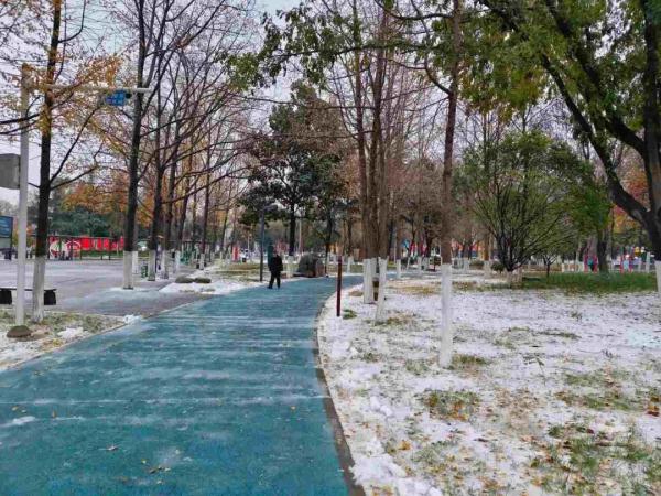 大雪到货!山东7市已现中到大雪局部暴雪 部分地区将达暴雪量级