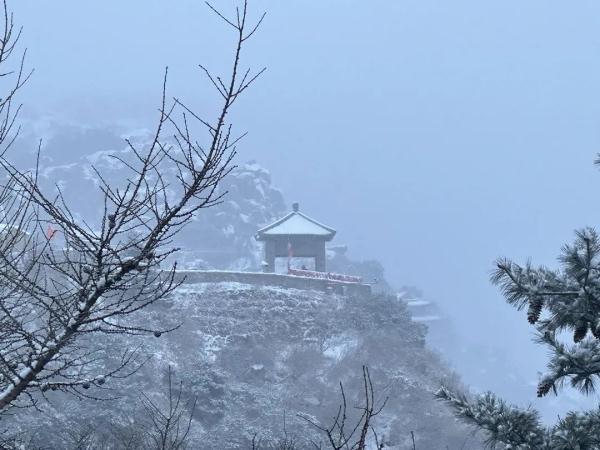 大雪到货!山东7市已现中到大雪局部暴雪 部分地区将达暴雪量级