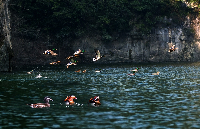 铜仁思南生态。