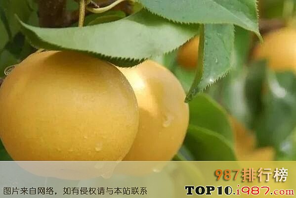 十大上海著名特产之仓桥水晶梨