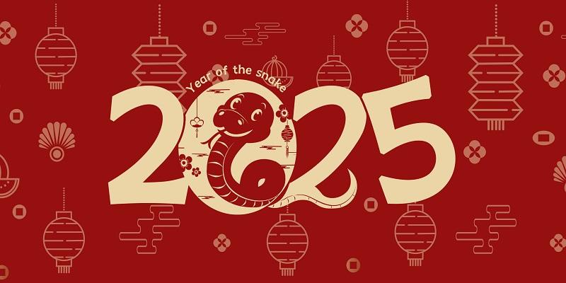 2025央视春晚直播平台