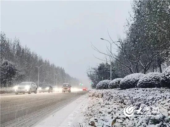 大雪到货!山东7市已现中到大雪局部暴雪 部分地区将达暴雪量级