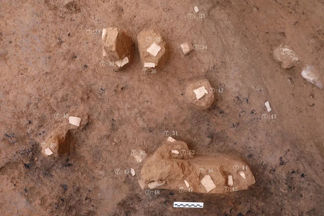 甲骨出土情况(南→北)。陕西省文物局供图